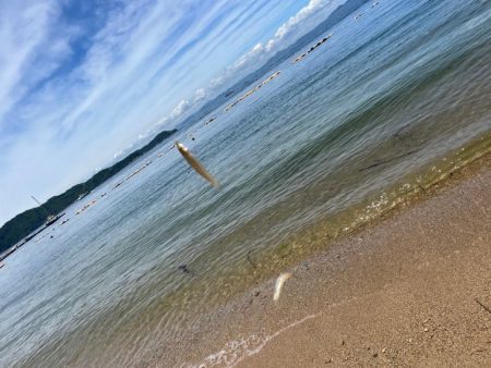 離島でエギング撃沈｜離島キスもイマイチで本土で残業