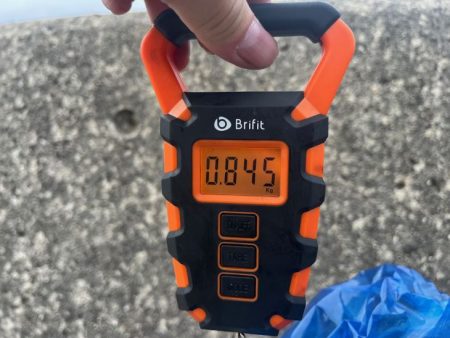 2連続ボウズ後ポイント移動でHIT♪