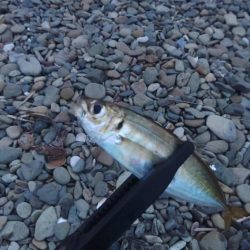 フロートゲーム～