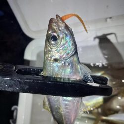 フロートゲーム～