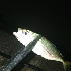 フロートゲーム～