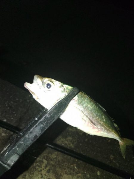 フロートゲーム～