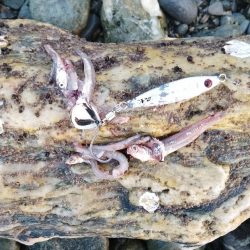 静かな海の中で…