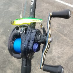 大雨の中での短時間勝負…