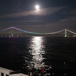 梅雨メバル調査