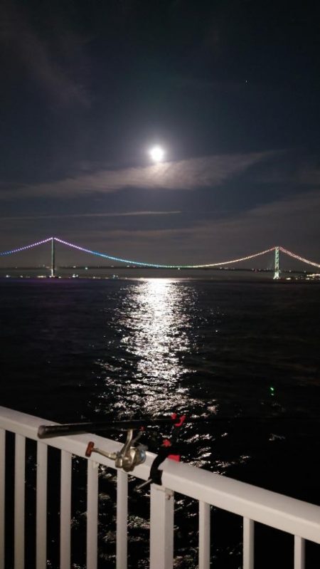 梅雨メバル調査