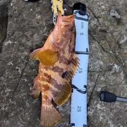 久しぶりの遠征