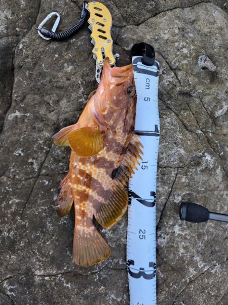 久しぶりの遠征