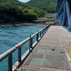 ２週間ぶりのカワハギ釣り