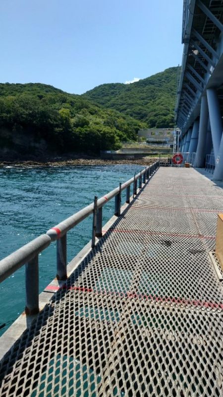 ２週間ぶりのカワハギ釣り