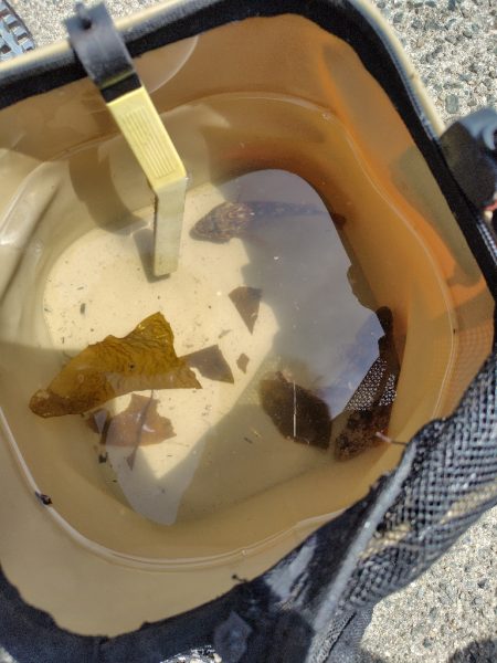 子供達と行くも撃沈