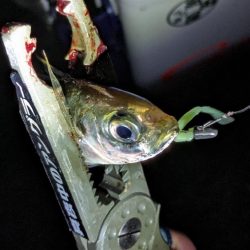 激渋→少し回復？