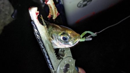 激渋→少し回復？