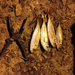 アジ食べたくて