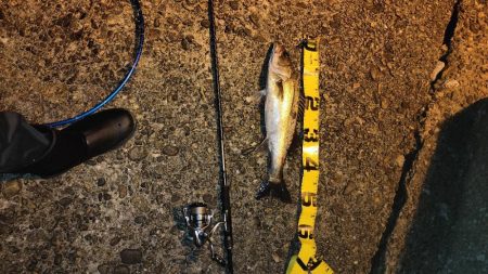 梅雨入り前の釣行