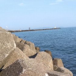 高砂港のキス釣り