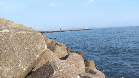 高砂港のキス釣り