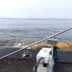 苅屋海岸のキス釣り
