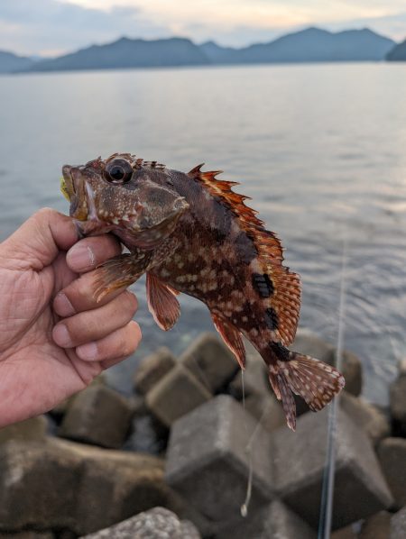 陸っぱり釣行記