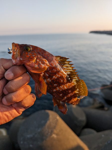 陸っぱり釣行記