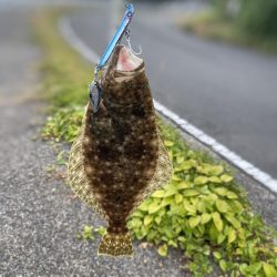 いろいろ釣れました