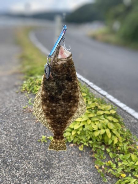 いろいろ釣れました