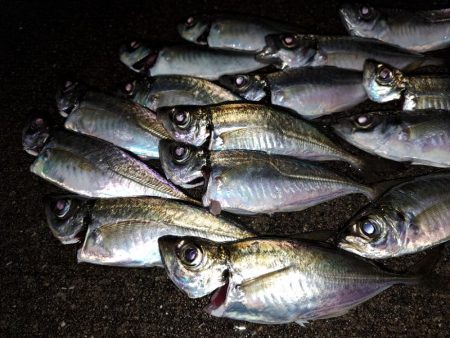 ショアジギングからアジング