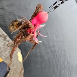 オクトパッシング