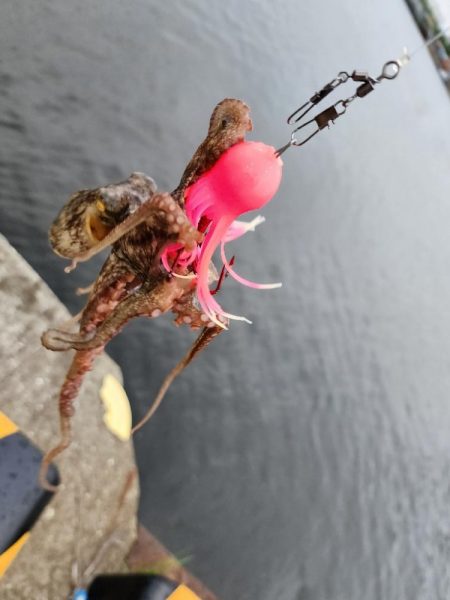 オクトパッシング