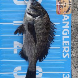 紀州釣りに挑戦しました🙋