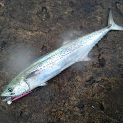 シャワーを浴びながら