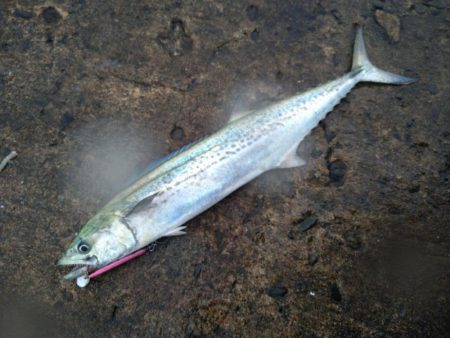 シャワーを浴びながら