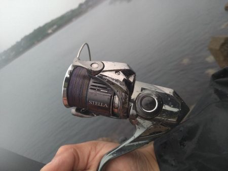 雨の日の釣りは