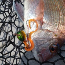 長女とタイラバ！