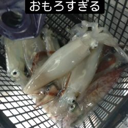 初めてのイカメタル！