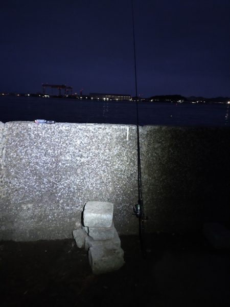 コノシロの群れの後に…