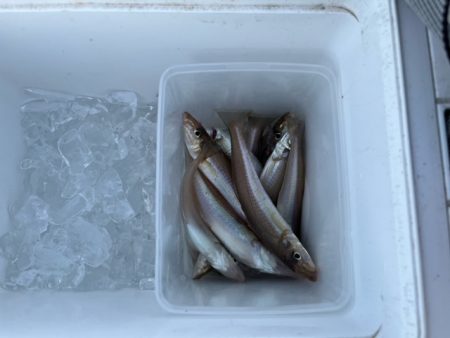 地元の釣り場を探ってみました