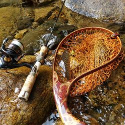 渇水ひどいので川選びですねー