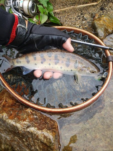 大荒れ続きで雨あとに期待