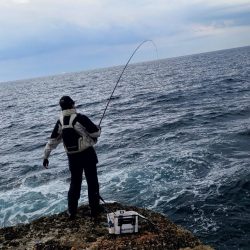 和歌山市江(吉丸渡船)でグレ釣り