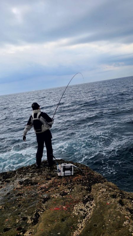 和歌山市江(吉丸渡船)でグレ釣り