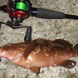 数は出たものの