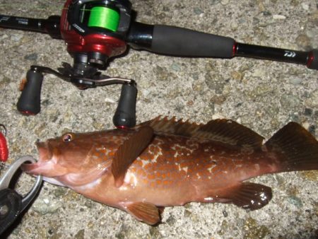 数は出たものの