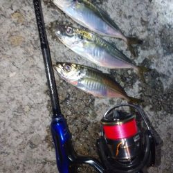 青色ロッドの鱗付け