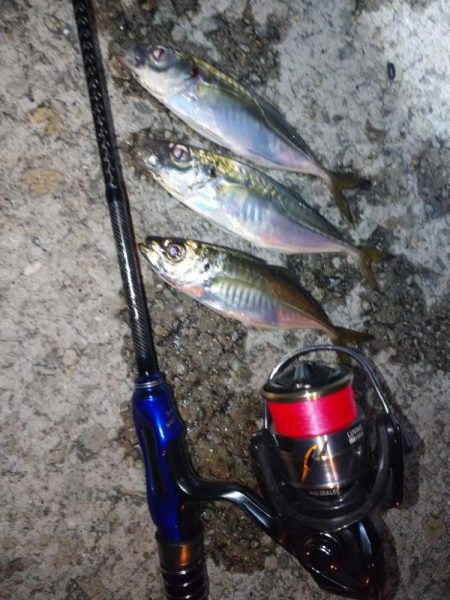 青色ロッドの鱗付け