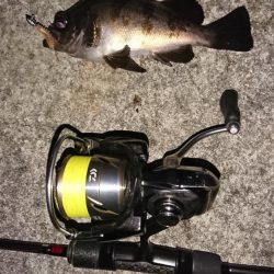 激難メバリング