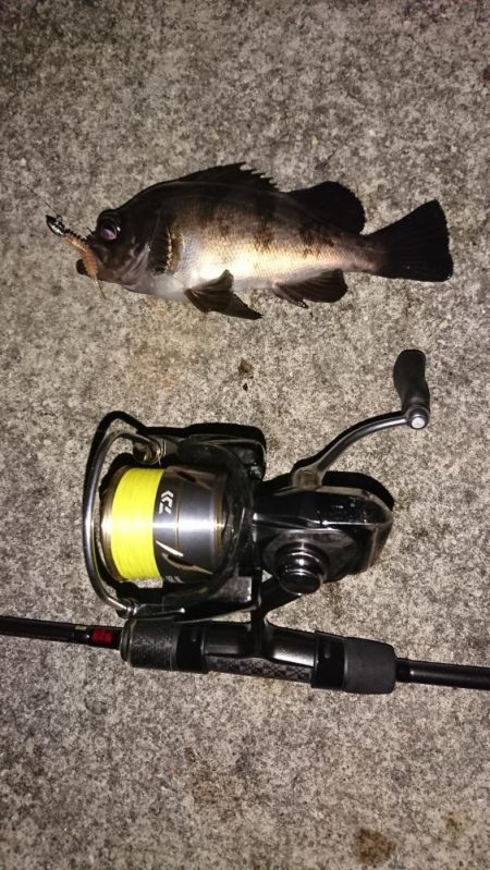 激難メバリング