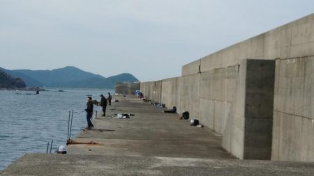 小浦一文字でハマチ