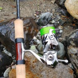 増水でイワナが高活性【天川】