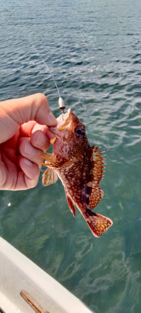 ボートエギング＆ロックフィッシュ